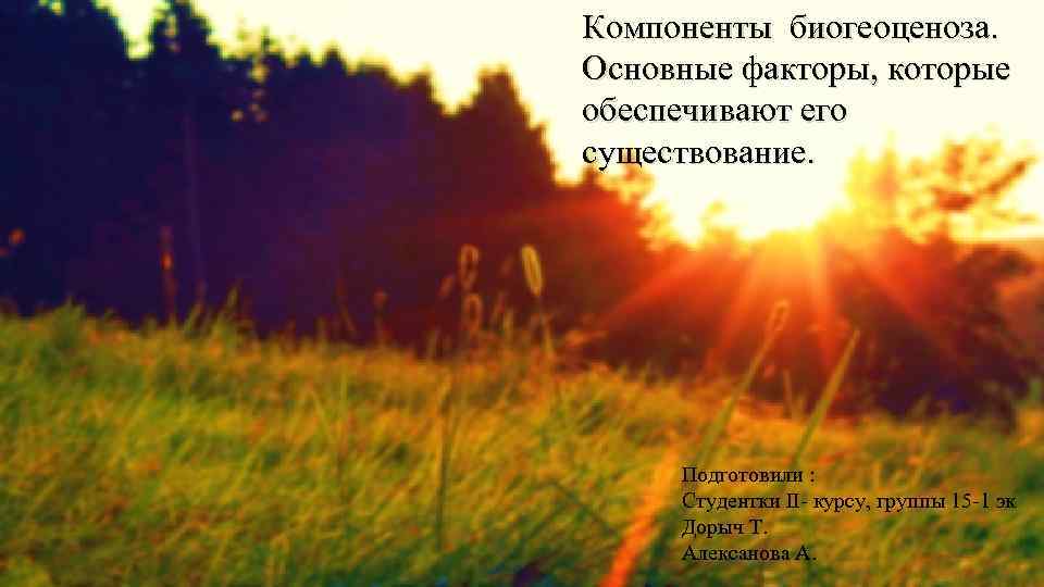 Компоненты биогеоценоза. Основные факторы, которые обеспечивают его существование. Подготовили : Студентки II- курсу, группы