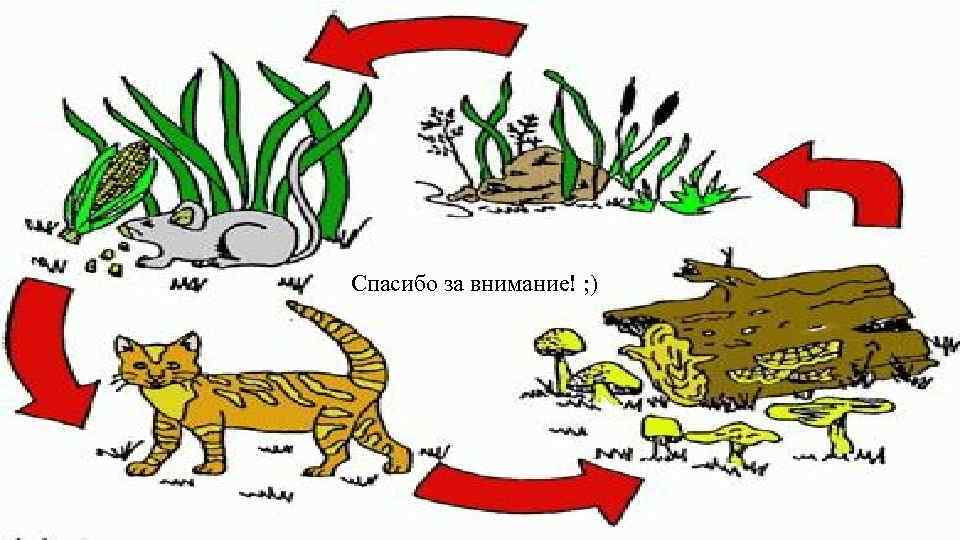 Спасибо за внимание! ; ) 