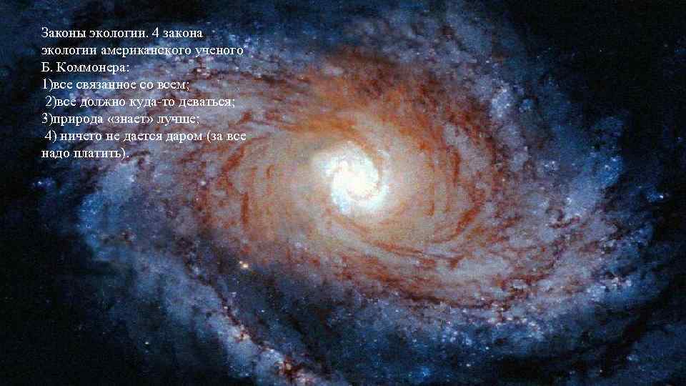 Законы экологии. 4 закона экологии американского ученого Б. Коммонера: 1)все связанное со всем; 2)все