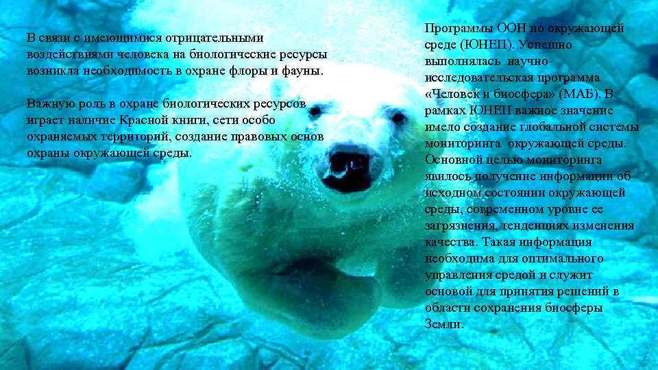 В связи с имеющимися отрицательными воздействиями человека на биологические ресурсы возникла необходимость в охране
