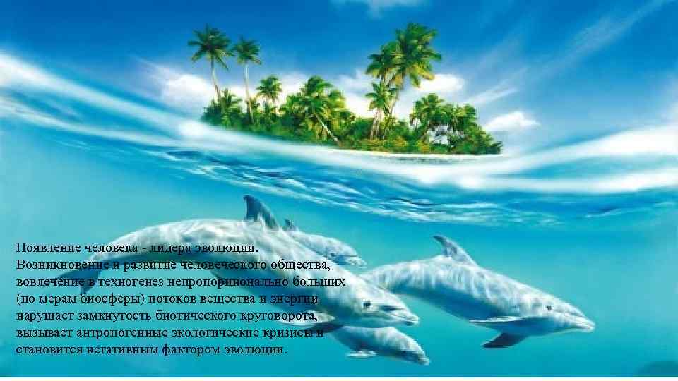 Появление человека - лидера эволюции. Возникновение и развитие человеческого общества, вовлечение в техногенез непропорционально