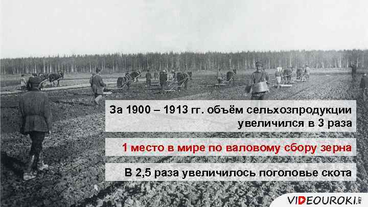 За 1900 – 1913 гг. объём сельхозпродукции увеличился в 3 раза 1 место в