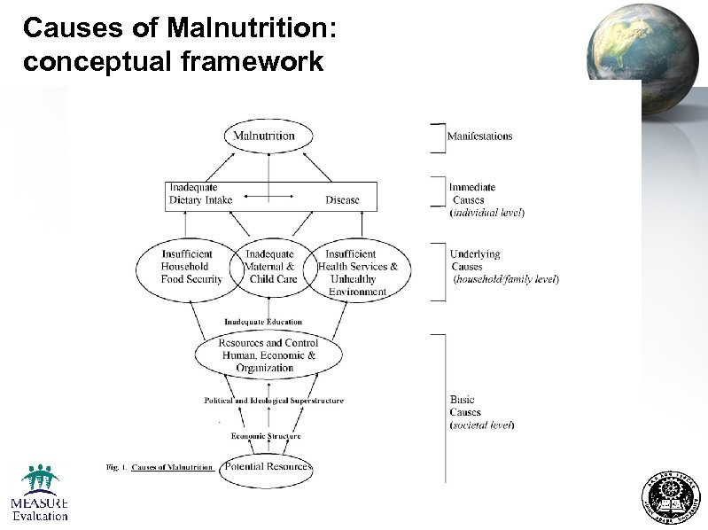 Causes of Malnutrition: conceptual framework 