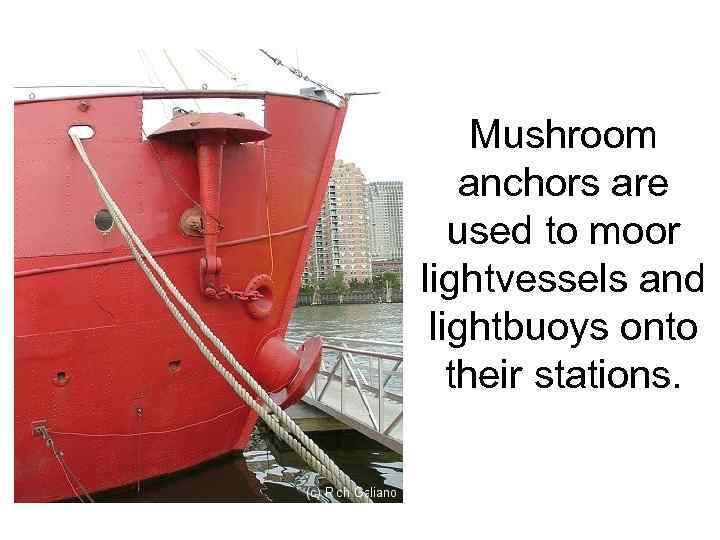 Mushroom anchors are used to moor lightvessels and lightbuoys onto their stations. 