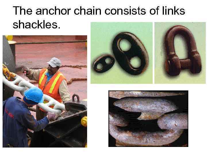 The anchor chain consists of links shackles. 