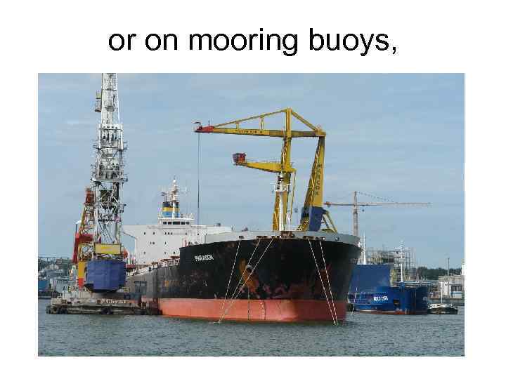 or on mooring buoys, 