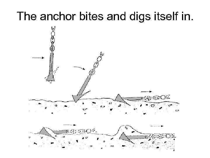 The anchor bites and digs itself in. 