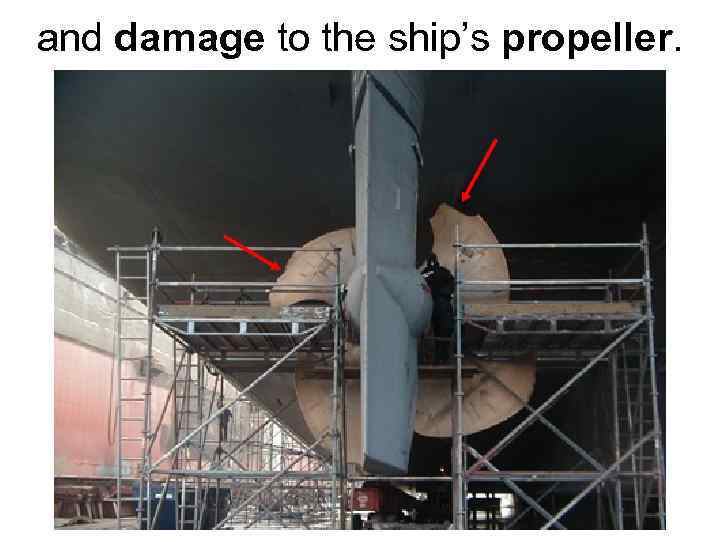 and damage to the ship’s propeller. 