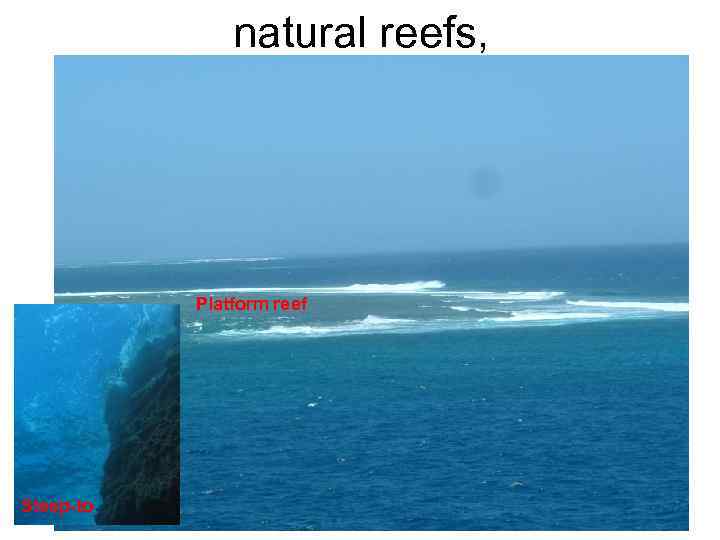 natural reefs, Platform reef Steep-to 