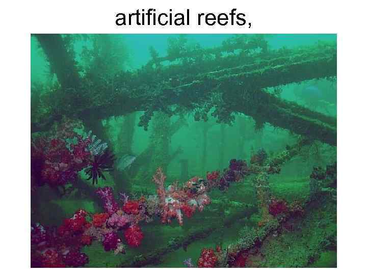 artificial reefs, 