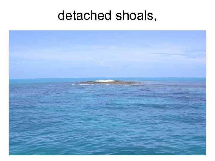 detached shoals, 