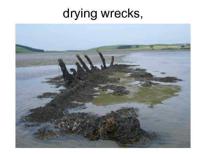 drying wrecks, 