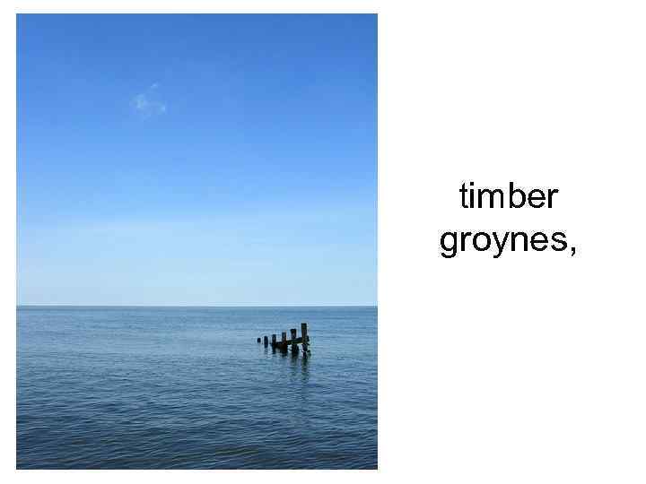 timber groynes, 