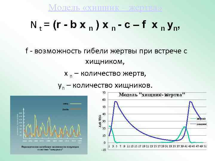Модель «хищник – жертва» N t = (r - b x n ) x
