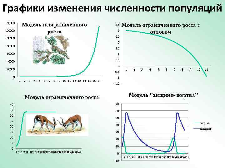 Фактор ограничивающий рост популяции