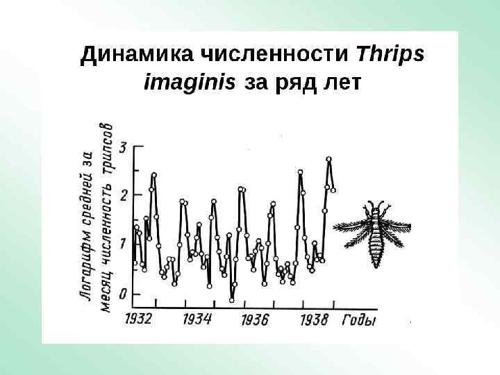 Концепции влияния факторов на динамику численности популяций • Регуляционизм – А. Николсон (1933, 1957).