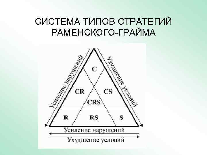 СИСТЕМА ТИПОВ СТРАТЕГИЙ РАМЕНСКОГО-ГРАЙМА 