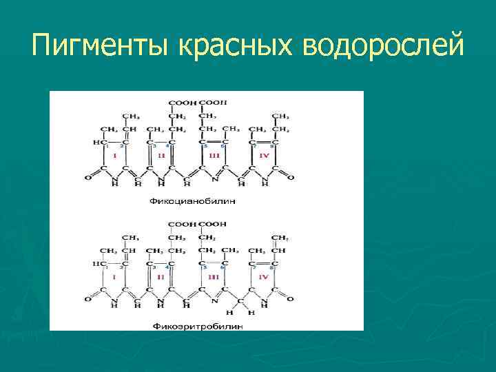 Пигменты красных водорослей 