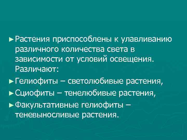 Какие приспособления к улавливанию световой энергии имеют