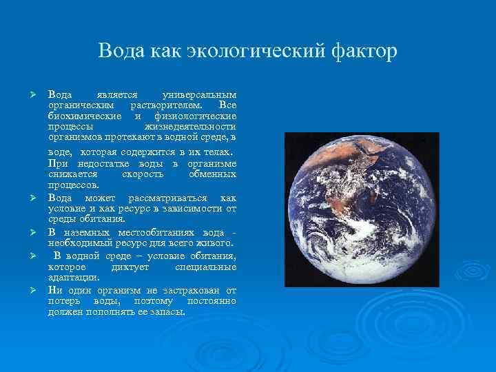 Вода как экологический фактор Ø Ø Ø Вода является универсальным органическим растворителем. Все биохимические