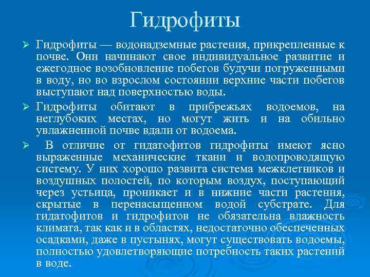 Гидрофиты — водонадземные растения, прикрепленные к почве. Они начинают свое индивидуальное развитие и ежегодное