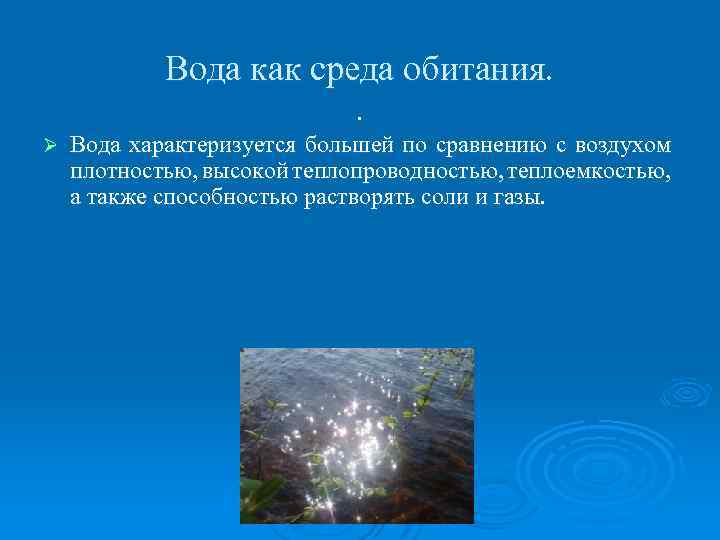 Вода как среда обитания. . Ø Вода характеризуется большей по сравнению с воздухом плотностью,