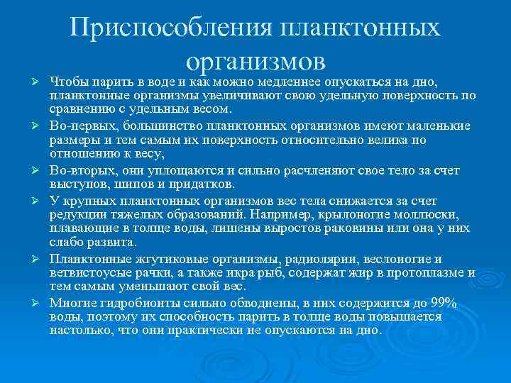 Ø Ø Ø Приспособления планктонных организмов Чтобы парить в воде и как можно медленнее