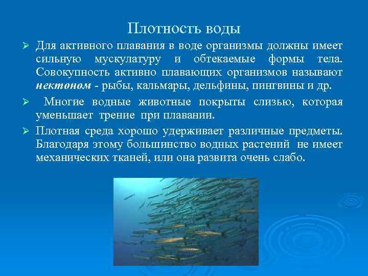 Плотность воды Для активного плавания в воде организмы должны имеет сильную мускулатуру и обтекаемые