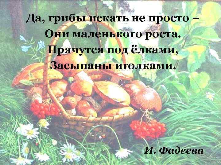 Да, грибы искать не просто – Они маленького роста. Прячутся под ёлками, Засыпаны иголками.