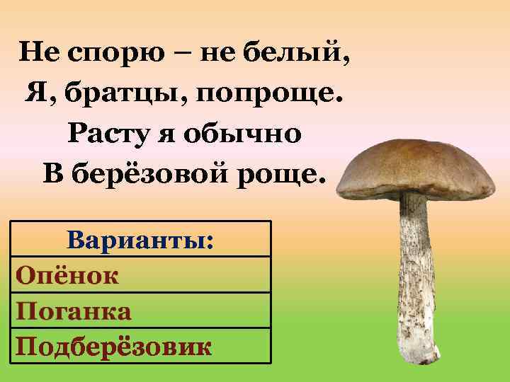 Не спорю – не белый, Я, братцы, попроще. Расту я обычно В берёзовой роще.