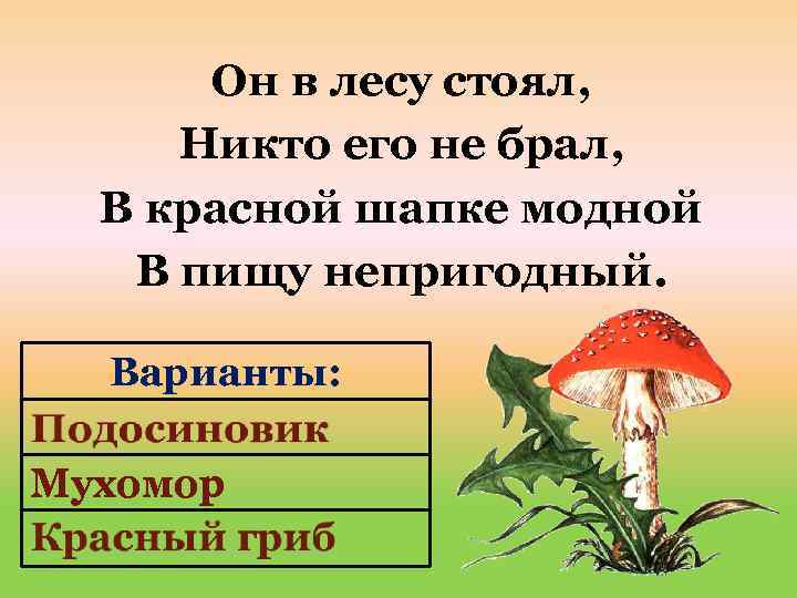 Он в лесу стоял, Никто его не брал, В красной шапке модной В пищу