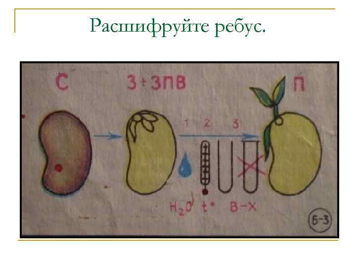 Расшифруйте ребус. 