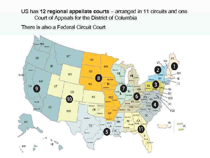 US has 12 regional appellate courts – arranged in 11 circuits and one Court