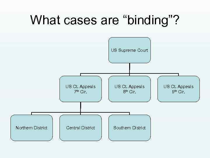 What cases are “binding”? US Supreme Court US Ct. Appeals 7 th Cir. Northern