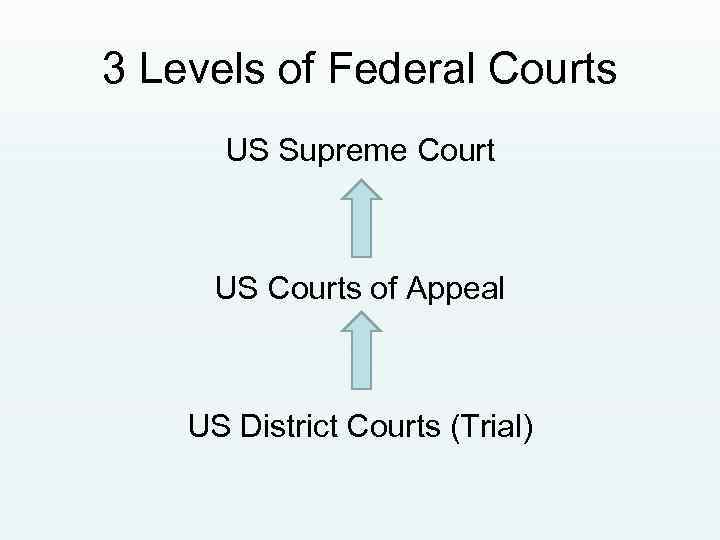 3 Levels of Federal Courts US Supreme Court US Courts of Appeal US District