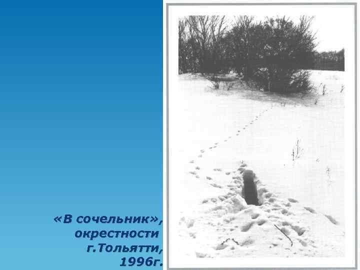  «В сочельник» , окрестности г. Тольятти, 1996 г. 