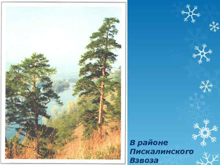 В районе Пискалинского Взвоза 