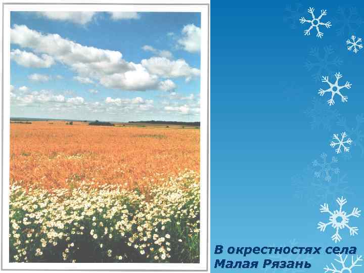 В окрестностях села Малая Рязань 