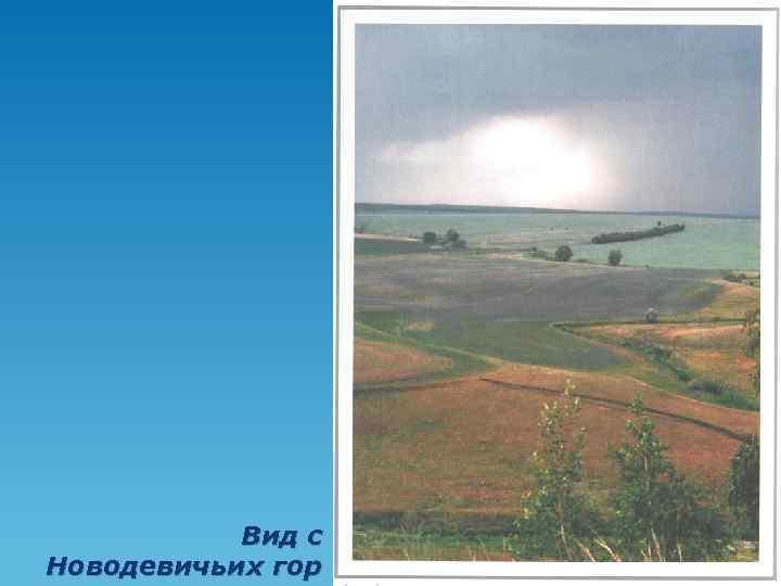 Вид с Новодевичьих гор 