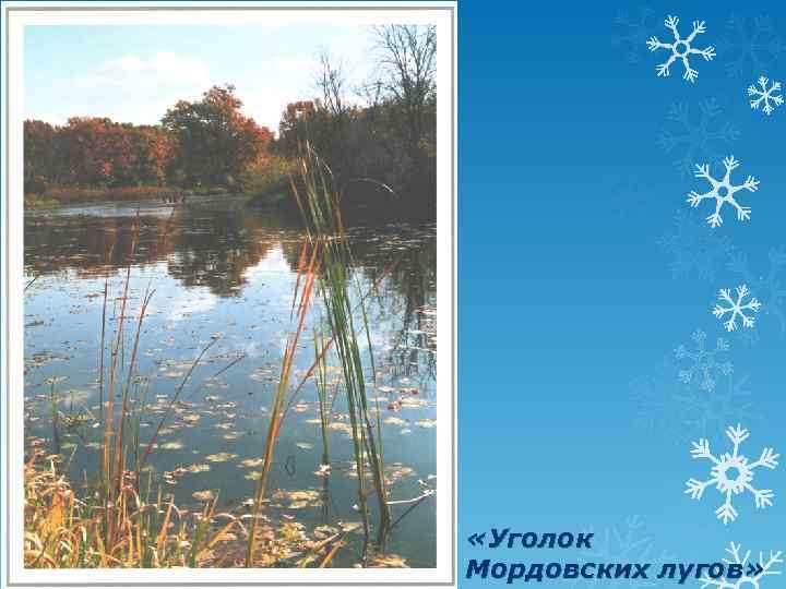  «Уголок Мордовских лугов» 