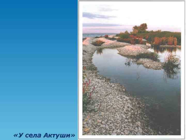  «У села Актуши» 