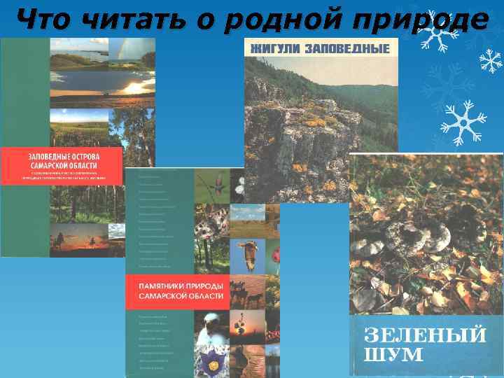 Что читать о родной природе 