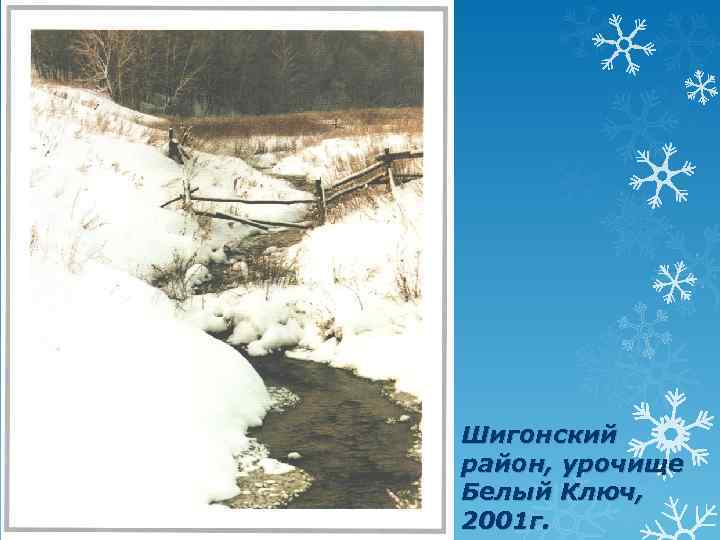 Шигонский район, урочище Белый Ключ, 2001 г. 