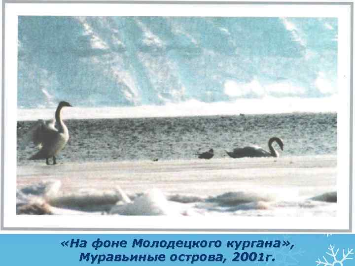  «На фоне Молодецкого кургана» , Муравьиные острова, 2001 г. 