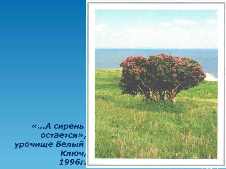  «…А сирень остается» , урочище Белый Ключ, 1996 г. 