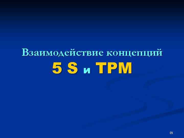 Взаимодействие концепций 5 S и TPM 65 