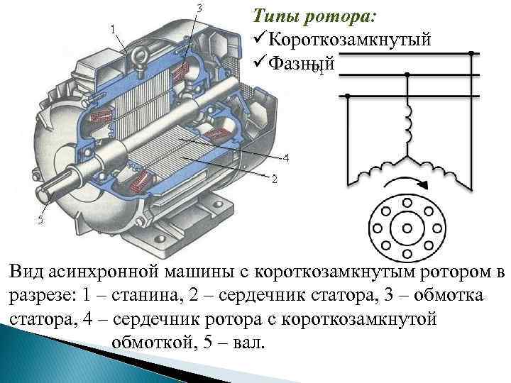 Схема ад с короткозамкнутым ротором