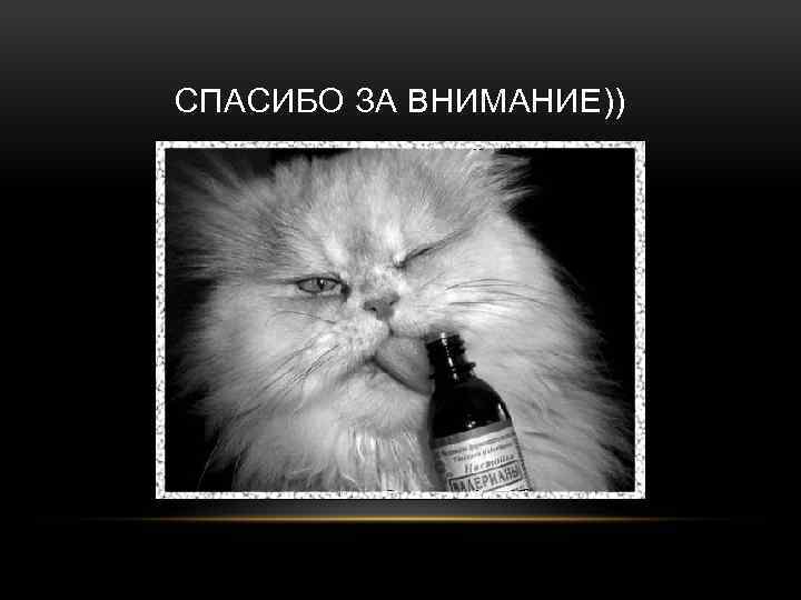 СПАСИБО ЗА ВНИМАНИЕ)) 