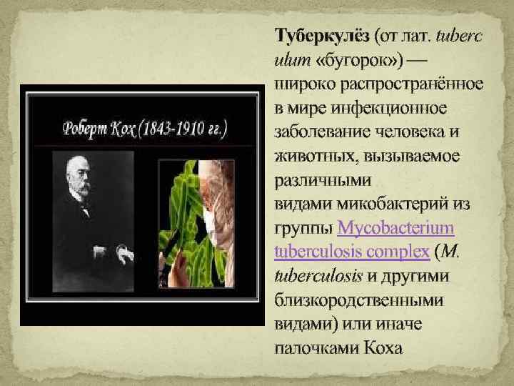 Туберкулёз (от лат. tuberc ulum «бугорок» ) — широко распространённое в мире инфекционное заболевание