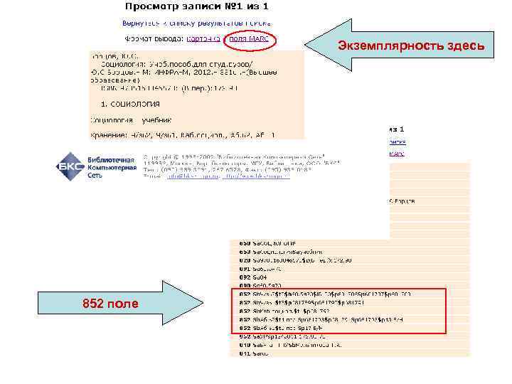 Экземплярность здесь 852 поле 